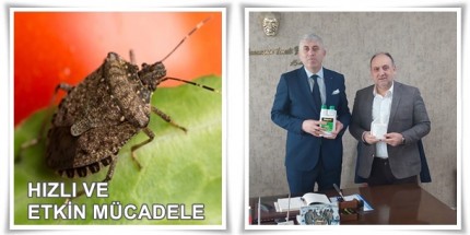 İlkadım Belediyesi’nden Kahverengi Kokarca Mücadelesine İlaç Desteği